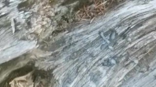Mountain Cumshot