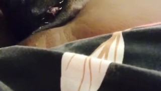 Masked ebony bbw pussy fucking with vibrator