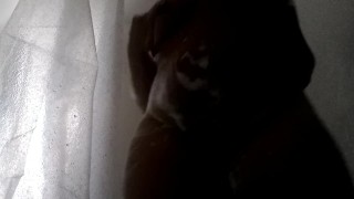 Rubbing my fat pussy and twerking my big soapy ass