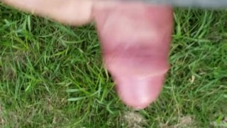 Public cum
