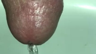 Seven inch erection piss