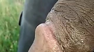 Peeing outside