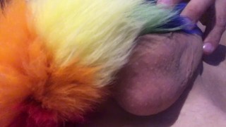 Playing with my tail. Meow!