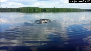 Swimming, yoga, anal - Lapjaz.com