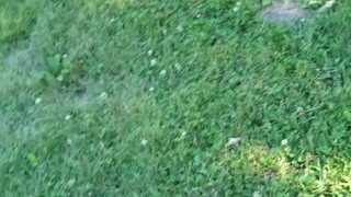 Pissing and Cumming