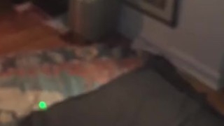 Teddy was like can I get up 