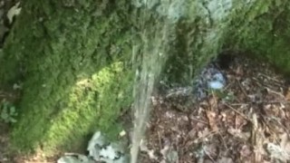 Peeing in the forest
