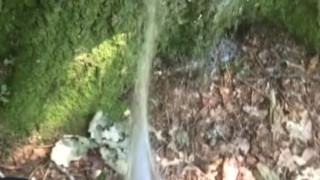 Peeing in the forest