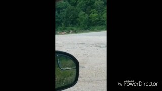 Being watched at the lake