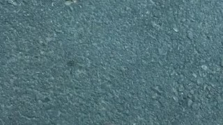 Roadside wank no cum.