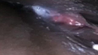 Wet Pussy