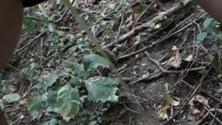 Peeing in the woods