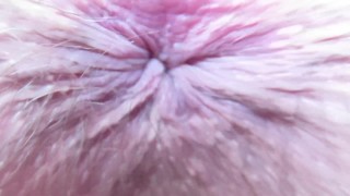 Extreme close up on my winking asshole
