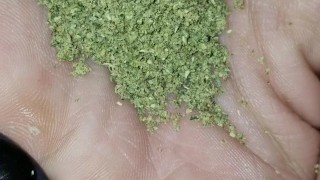  porn
