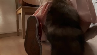I am a naughty sissy pet :3