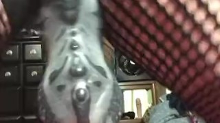 Bbw rides bad dragon