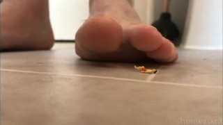 Crush - PREVIEW GAY MACROPHILIA