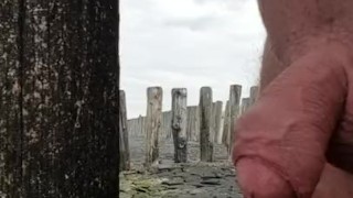 public plassen