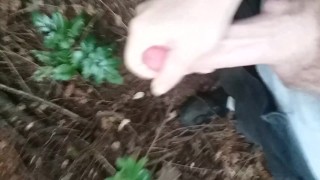Having fun in the wood