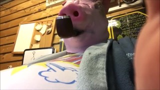 pig pipe