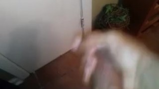 Real BBC cumshot 