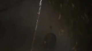 Took my morning piss outside
