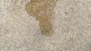 Teen Caught Squirting In Public Outside Squirt lizlovejoy.manyvids.com