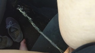 Peed in my car again, Issa Lot.