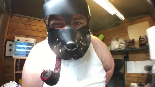 pup with a bone/pipe