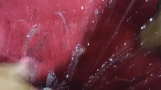 SQUIRT QUEEN LET ME SQUIRT IN YOUR FACE