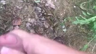 Jerking in the woods