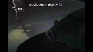 TOOK A PISS IN THE CAR