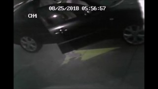TOOK A PISS IN THE CAR