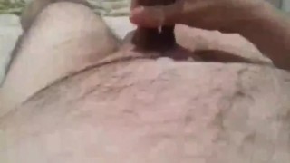 Polla argentina