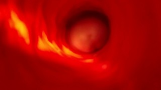 Inside a homemade fucksleeve