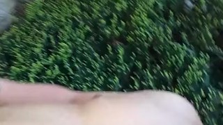 Dans le jardin au soleil