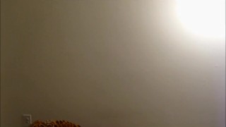 Stealing My Fursuit Preview