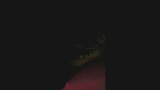 Fucking My Girlfriend in the Ass in a Public Park at 3 AM REMASTERED