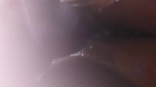 real Nut