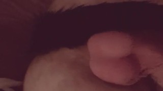  play with Cattail