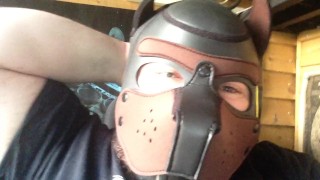 breaking in the new pup hood