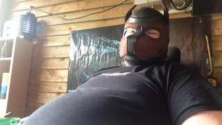 breaking in the new pup hood