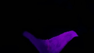 Playing With Pussy Under The Blacklight.... I DON'T OWN COPYRIGHTS TO MUSIC