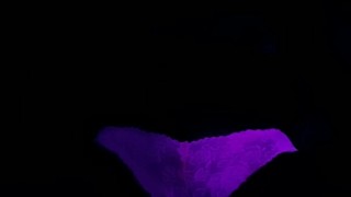 Playing With Pussy Under The Blacklight.... I DON'T OWN COPYRIGHTS TO MUSIC