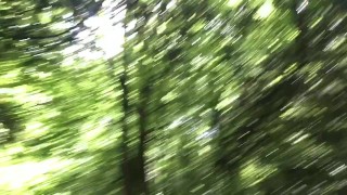 Outdoor wank in woods