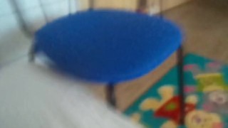 69 blowjob and licking