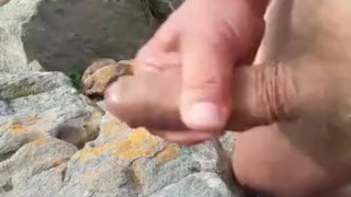 Fiekie masturbating outdoors with cumshot