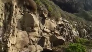 Fiekie masturbating outdoors with cumshot