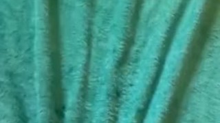 Wanking my hard dick