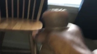 a nigga bored
